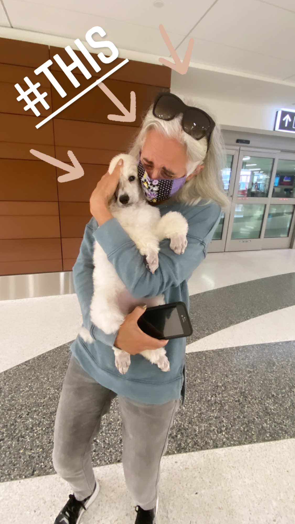 Flight Pet Nanny transporting a Poodle Puppy