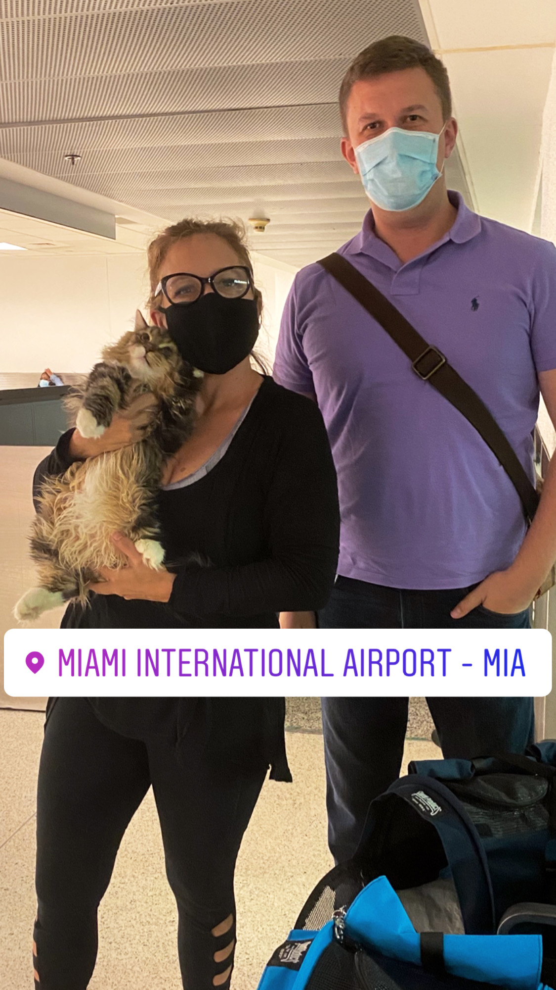 Ground Transport Cat From Miami to Orlando