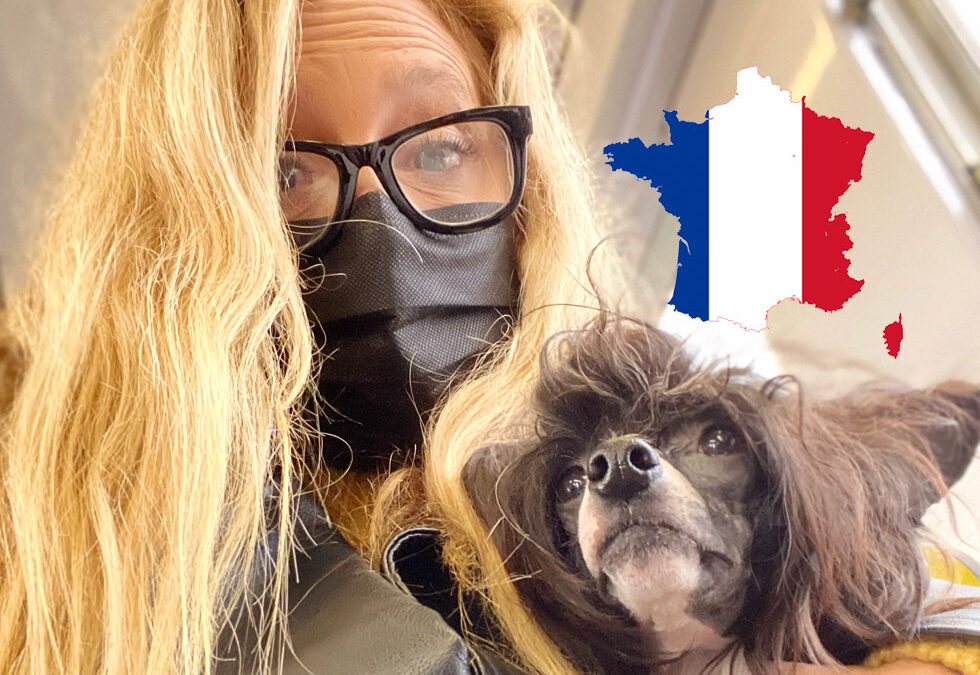 Flight Pet Nanny transporting a chinese created form Paris, France to the United States