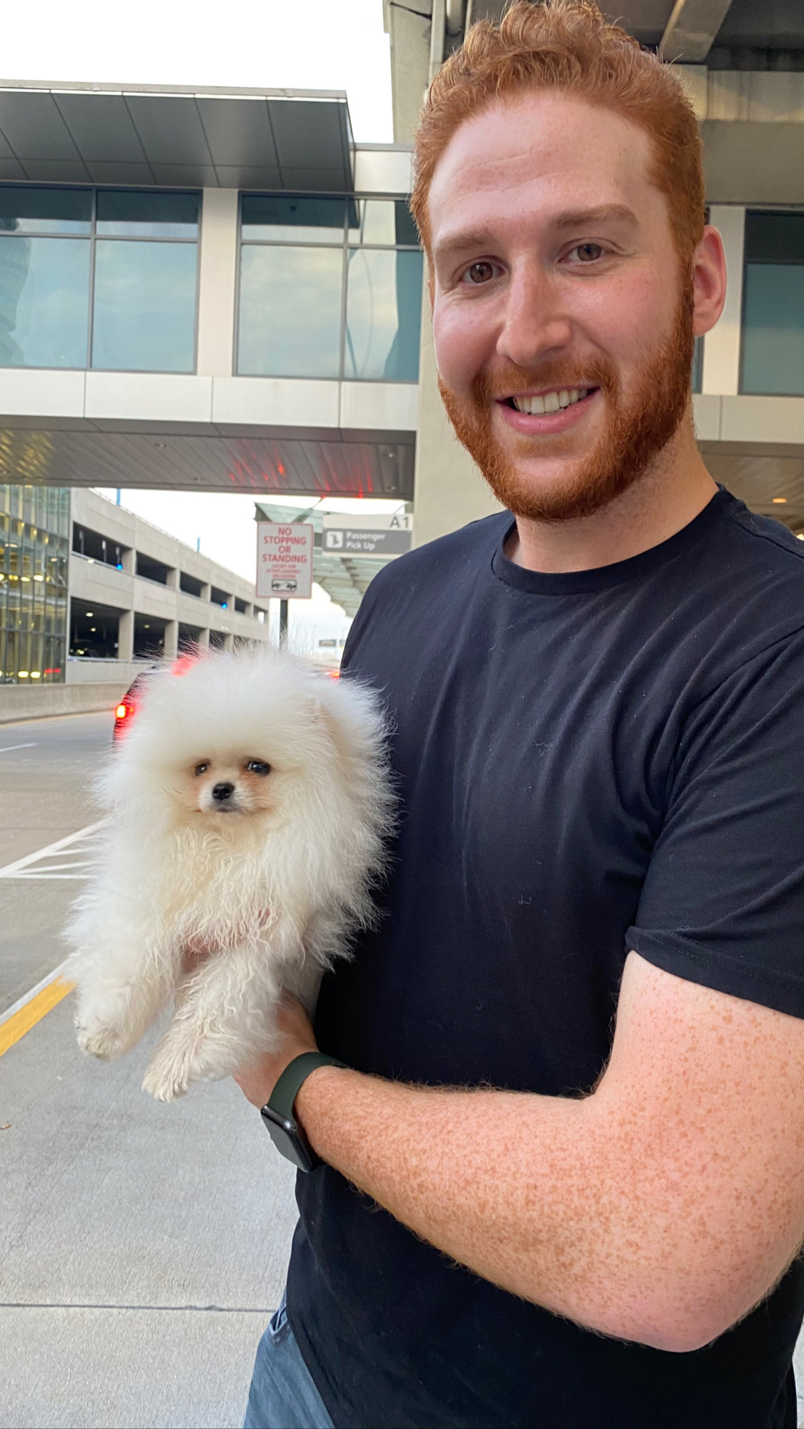 Flight Pet Nanny transporting a Pomeranian from Athen, Greece to Denver, Colorado
