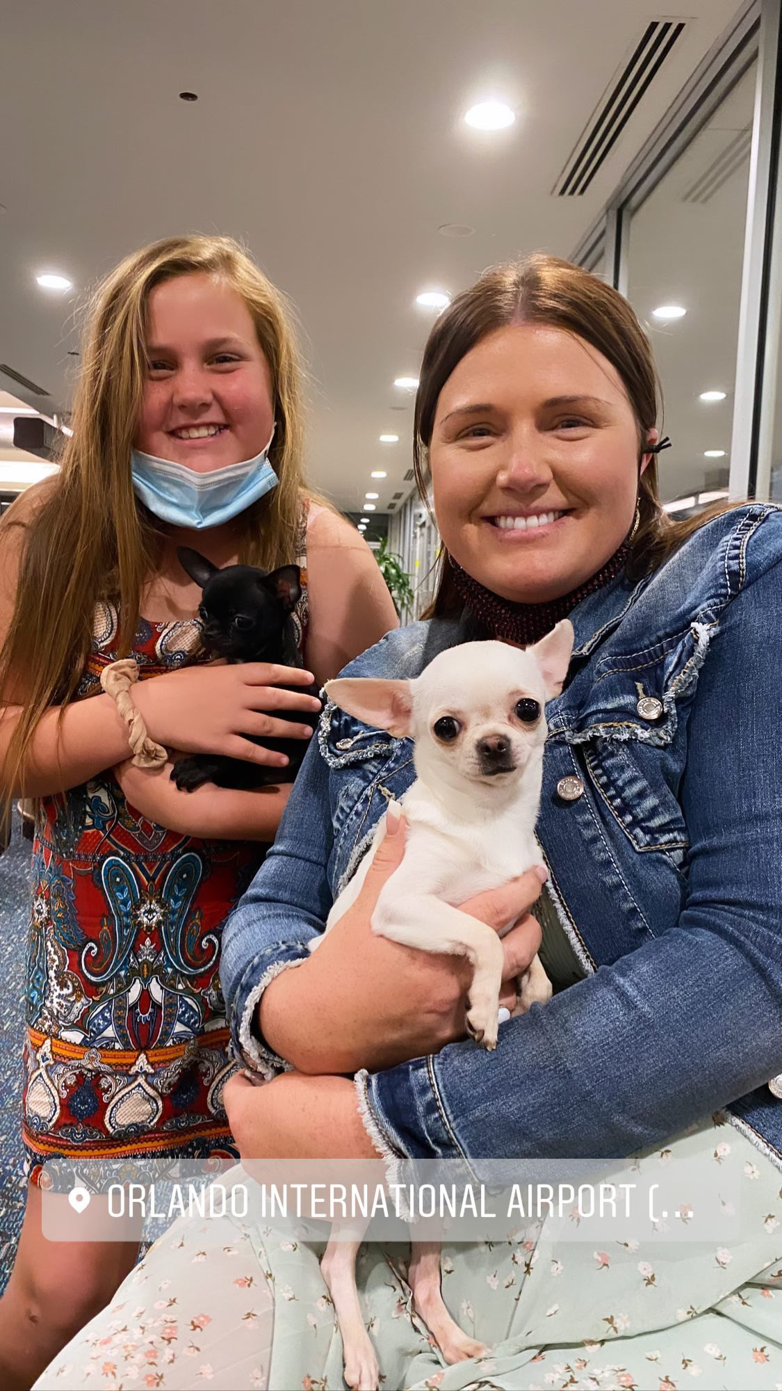 Flight Pet Nanny transporting Two Chihuahuas from Kiev, Ukraine to Orlando, Florida