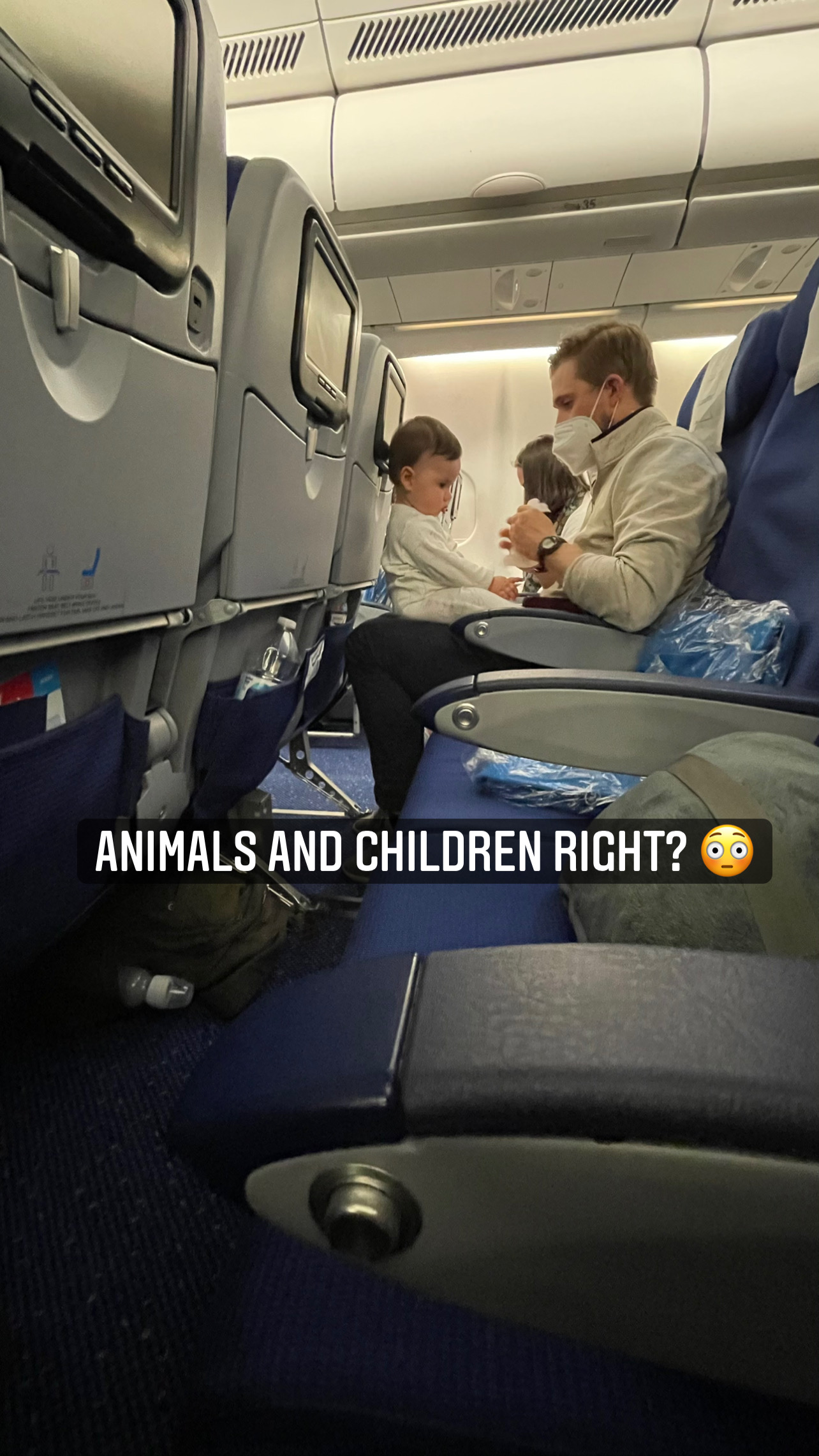 Flight Pet Nanny transporting a Plott Hound from Atlanta, Georgia, Hungary to Stockholm, Sweden