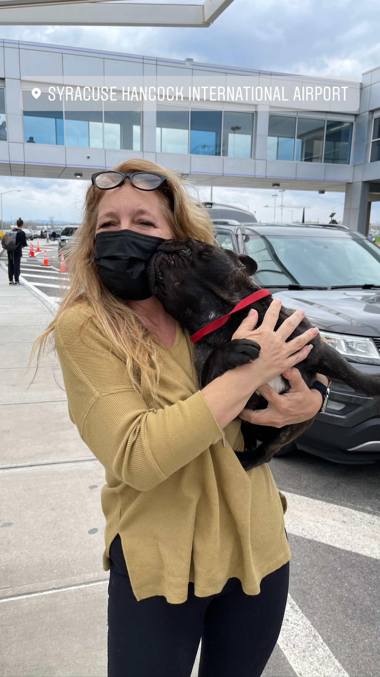 Flight Pet Nanny transporting a Frenchie from Orlando, Florida to Syracuse, New York