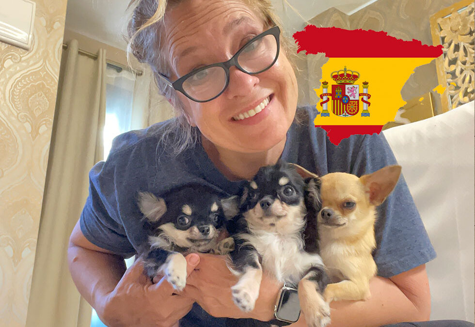 Flight Pet Nanny transporting Chihuahuas Seville, Spain, to Raleigh, North Carolina