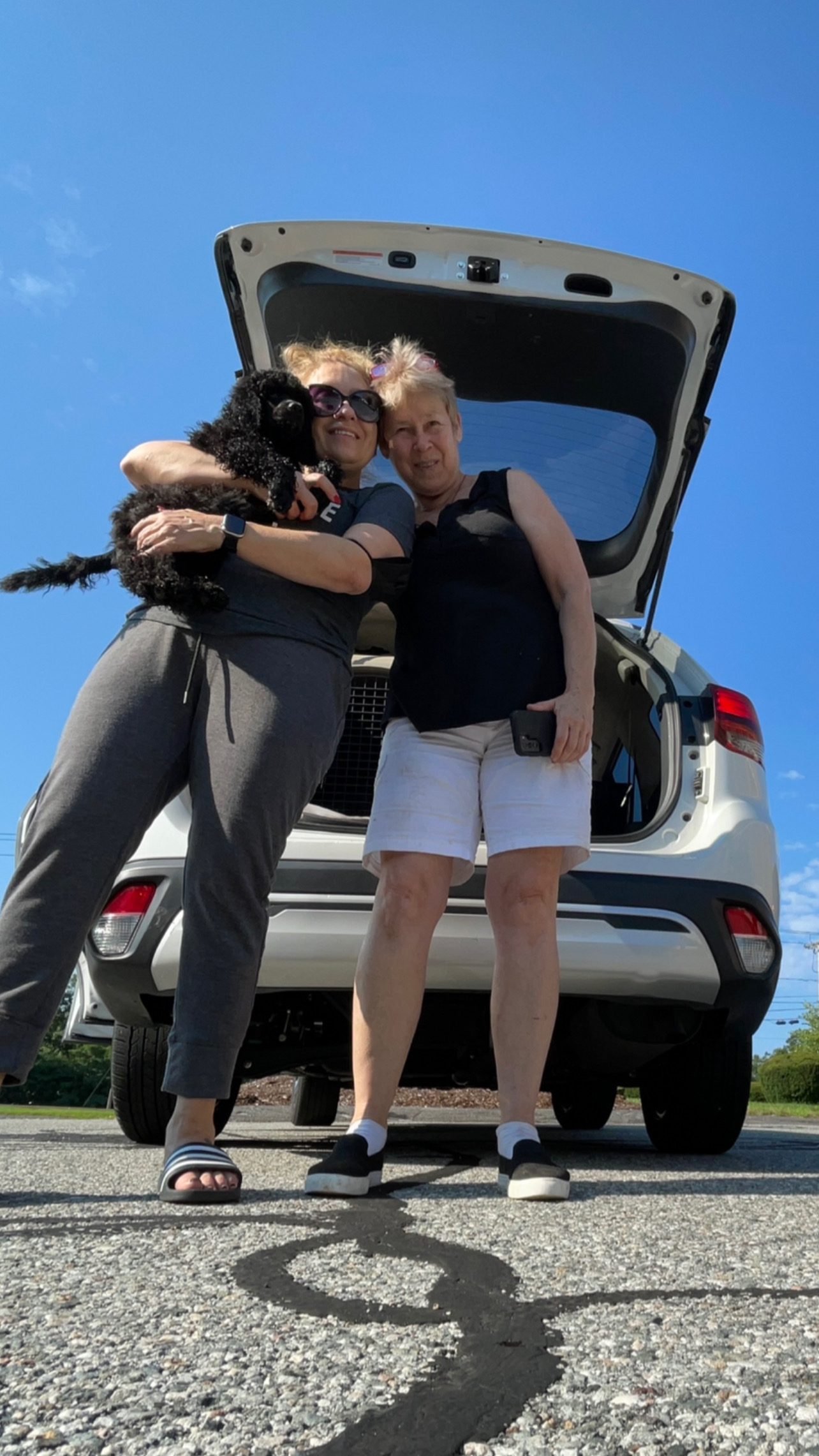 Flight Pet Nanny transporting three Poodle puppies across the border to Canada