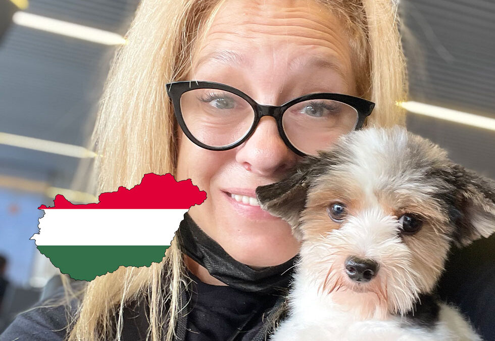Flight Pet Nanny transporting a Biewer Terrier from Budapest, Hungary to Orlando, Florida