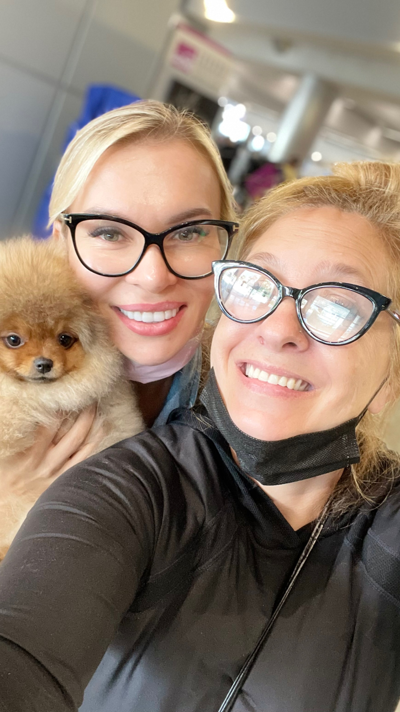 Flight Pet Nanny transporting a Pomeranians from Miami to the World Dog Show in Brno Czech Republic
