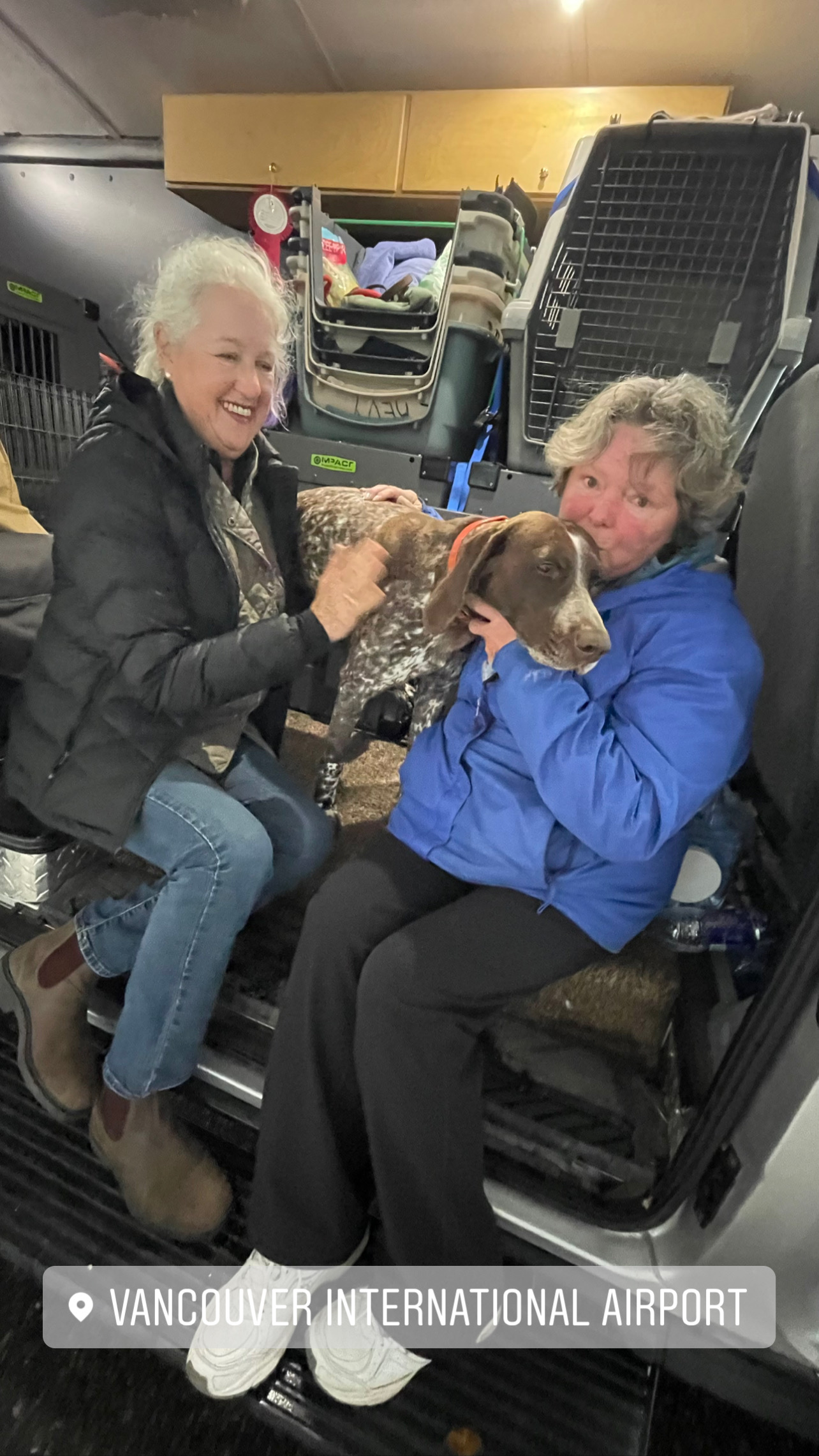 Flight Pet Nanny transporting a Short Haired Pointer from Vancouver, Canada to Orlando, Florida
