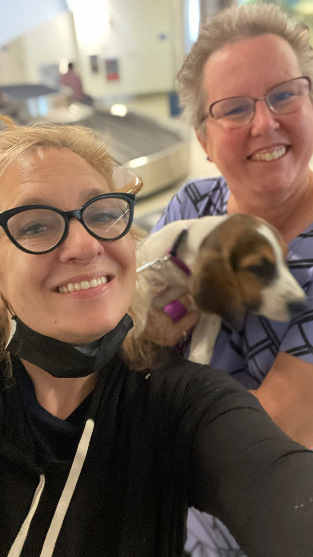 Flight Pet Nanny transporting a Heeler puppy from Los Angeles to Orlando, Florida