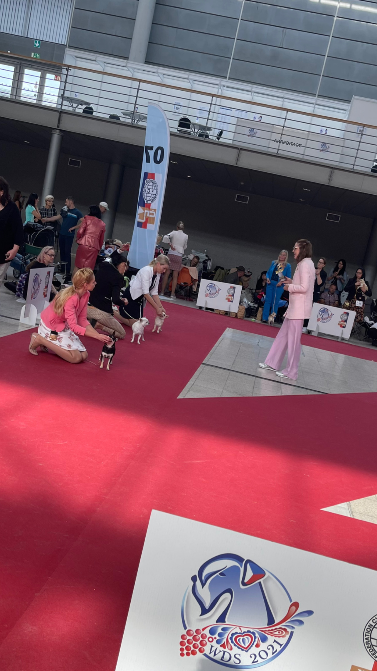 2021 World Dog Show - Brno, Czech Republic