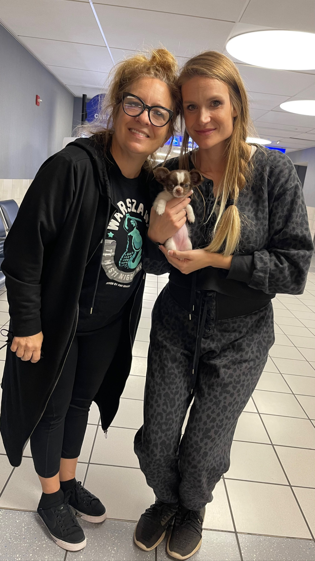 Flight Pet Nanny transporting a Chihuahua puppy New Orleans to St Louis
