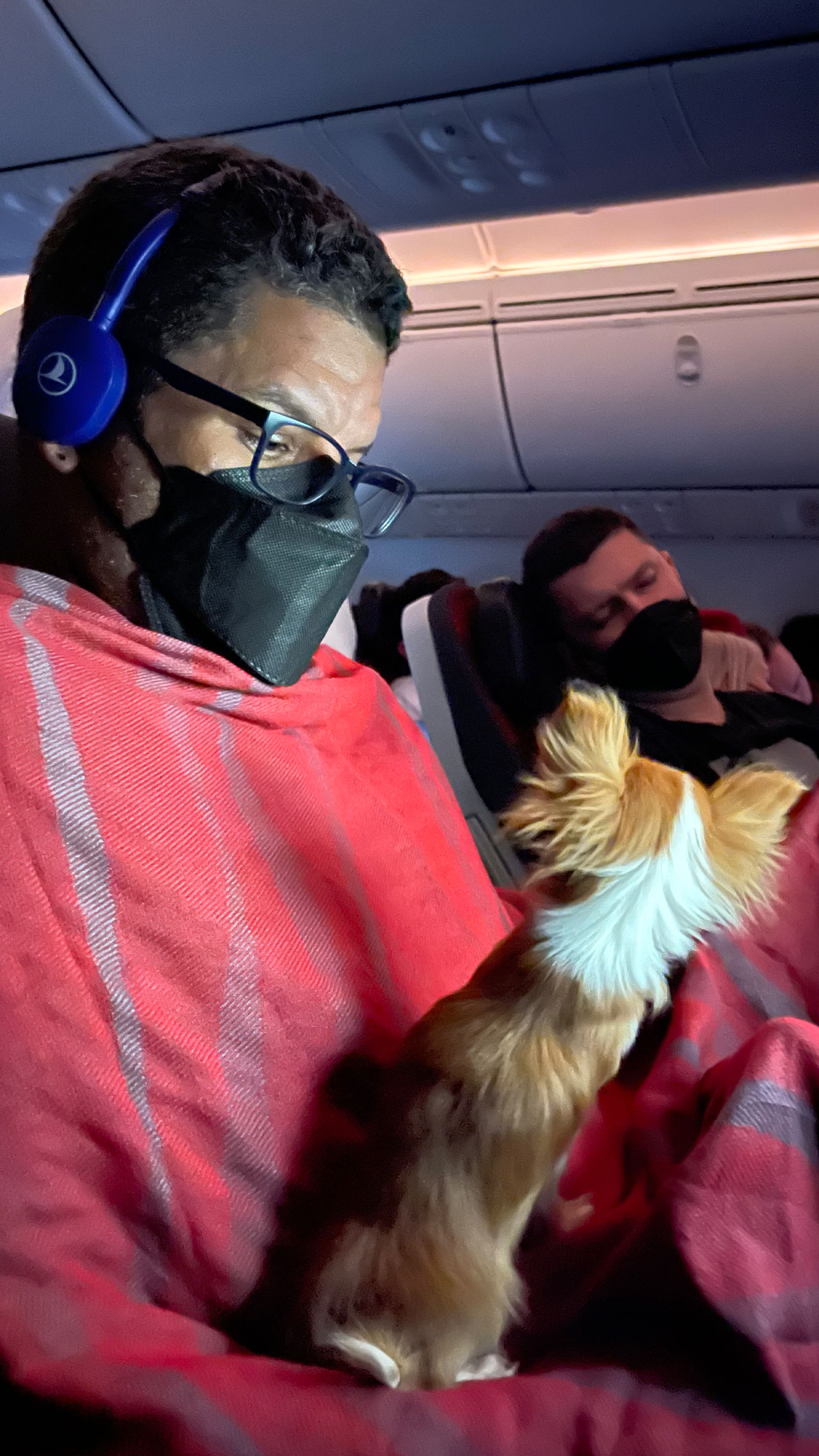 Flight Pet Nanny transporting a Special Needs Chihuahua from Bangkok, Thailand